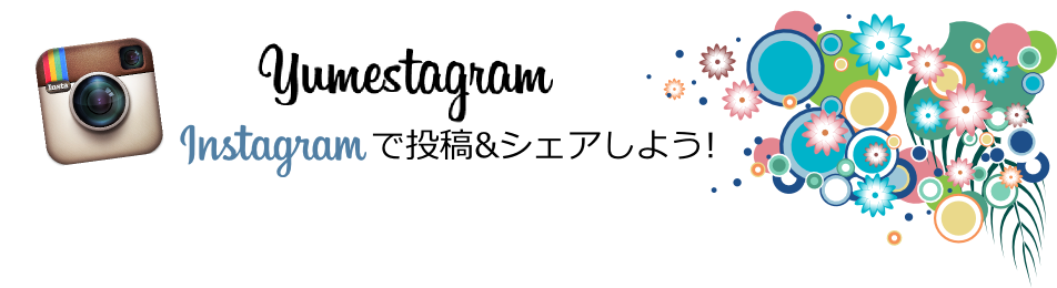 #YUMEZAKI Instagramで投稿＆シェアしよう！